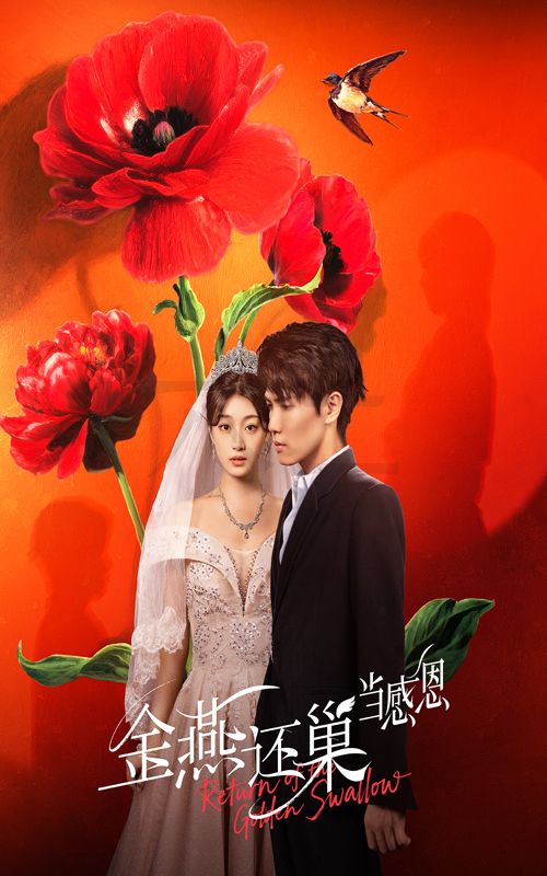 短剧 《金燕还巢当感恩》 高清完整全集免费在线观看无广告，金燕还巢当感恩高清全集免费看